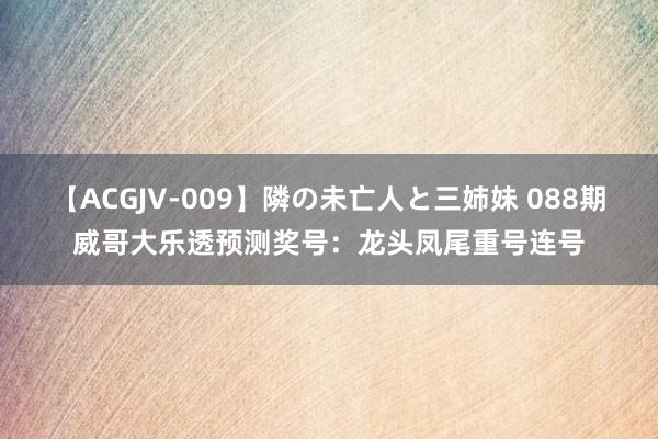 【ACGJV-009】隣の未亡人と三姉妹 088期威哥大乐透预测奖号：龙头凤尾重号连号