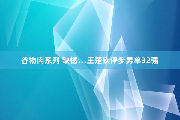 谷物肉系列 缺憾…王楚钦停步男单32强