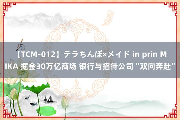 【TCM-012】テラちんぽ×メイド in prin MIKA 掘金30万亿商场 银行与招待公司“双向奔赴”